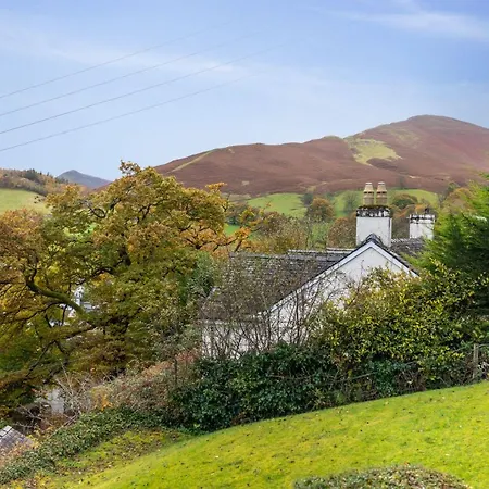 Rock Lynn Braithwaite